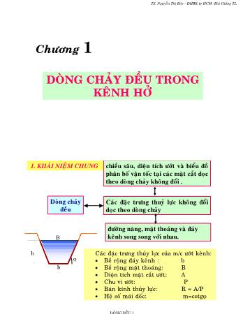 Bài giảng Thủy lực 1 - Chương 1: Dòng chảy đều trong kênh hở - Nguyễn Thị Bảy