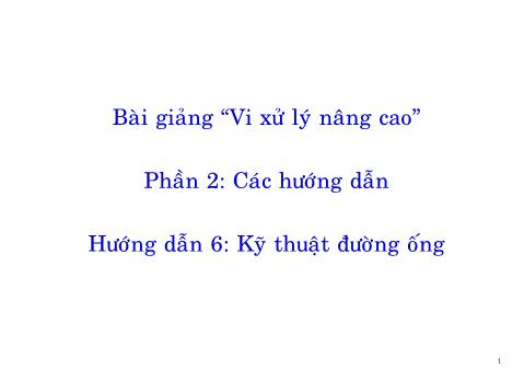 Bài giảng Vi xử lý nâng cao - Phần 2: Các hướng dẫn - Hướng dẫn 6: Kỹ thuật đường ống